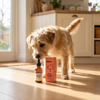Terrier sniffing a bottle of Pupzy drops